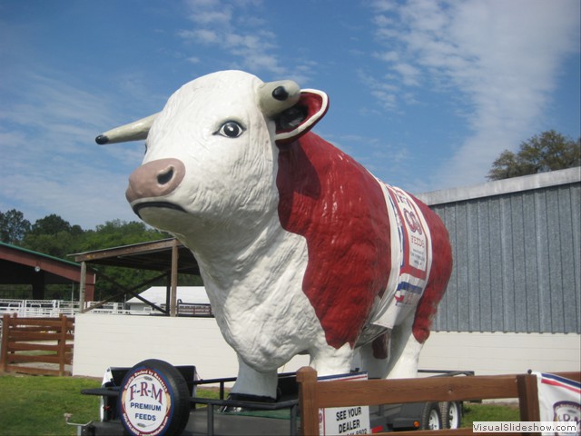 Suwannee County Fair